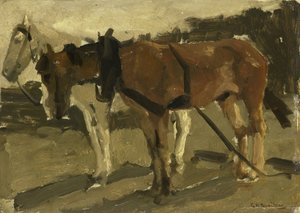 Ein braunes und ein weißes Pferd in Scheveningen