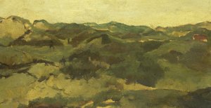 Eine Heidelandschaft, vermutlich in Drenthe