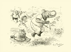 Die Tiere bei den Olympischen Spielen