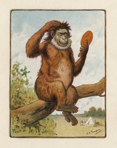 Der Affe (Farblithografie)