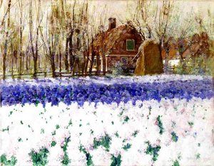 Ein Cottage und ein Feld von Hyazinthen