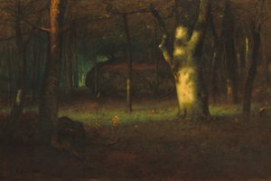 Sonnenuntergang im Wald von George Inness