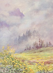 Trollius europaeus, die Kugelblume, auf den wolkenverhangenen Feldern Anfang Juni (Farblithographie)