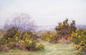 Eine Surrey-Heide von George Marks