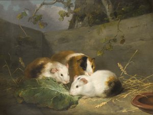 Meerschweinchen von George Morland