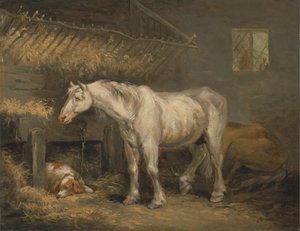 Alte Pferde mit einem Hund in einem Stall