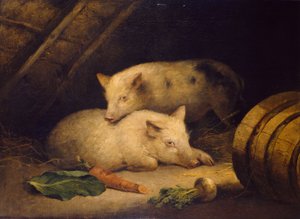 Schweine, 1775-1800