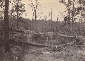Schlachtfeld von New Hope Church, GA, Nr. 2, 1866 von George N. Barnard