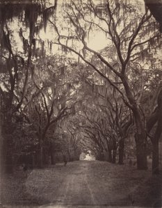  von George N. Barnard