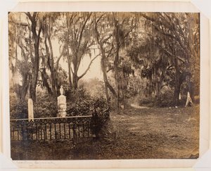 Buen-Ventura, Savannah, Georgia von George N. Barnard