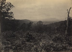 Mission Ridge Szene von Shermans Angriff von George N. Barnard