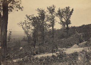  von George N. Barnard
