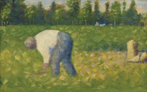 Bauer bei der Arbeit