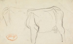 Studie einer Kuh von George Romney