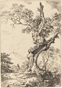 Studie einer alten Eiche, Wasser rechts, ein Mann links von George Samuel