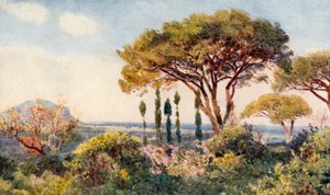 Zwischen den Bergen und dem Meer