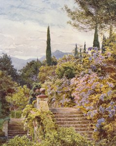 Italienische Gärten: Wisteria, Villa Cavagnaro von George Samuel Elgood