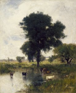 Rinder im Pool (Eine Sommerlandschaft)