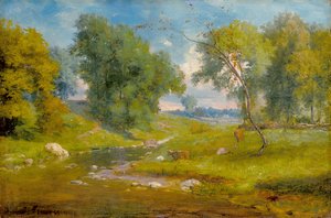 Auf der Wiese
