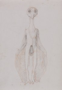 Vergleichende anatomische Darstellung der Struktur des menschlichen Körpers mit der eines Tigers und eines gewöhnlichen Huhns: Eule stehend, Vorderansicht