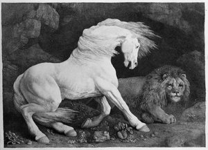 Ein Pferd erschreckt durch einen Löwen, graviert vom Künstler von George Stubbs