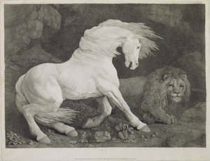 Ein von einem Löwen erschrecktes Pferd, graviert vom Künstler, veröffentlicht 1788 von George Stubbs