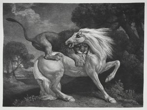 Ein von einem Löwen angegriffenes Pferd, 1788 von George Stubbs