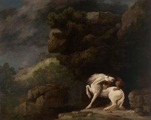 Ein Löwe greift ein Pferd an