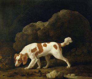 Ein Spaniel