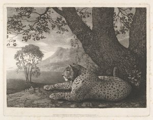 Ein Tiger (ein liegender Leopard an einem Baum) von George Stubbs