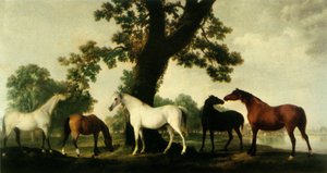 Fünf Zuchtstuten auf der Gestütsfarm des Herzogs von Cumberland im Windsor Great Park, 1765, 1944
