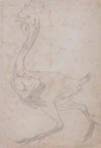 Vogelkörper, Seitenansicht (Wahrscheinlich zur Übertragung auf die Platte für die Gravur der Schlüsselfigur zu Tafel X vorbereitet) von George Stubbs
