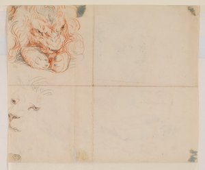 Kopf und Pfoten eines Löwen, verso, 18. oder 19. Jahrhundert von George Stubbs