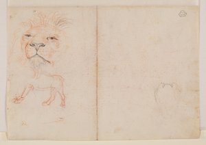 Löwenkopf, verso, 18. oder 19. Jahrhundert von George Stubbs