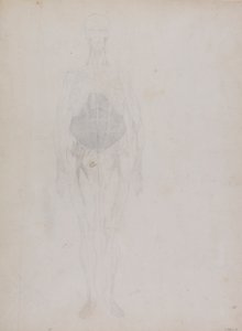 Menschliche Figur, Vorderansicht (größtenteils in Umrissen) von George Stubbs