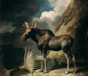 Elch, 1770 von George Stubbs