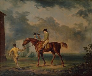 Sir Salomon, ein braunes Rennpferd mit J.Singleton, Newmarket