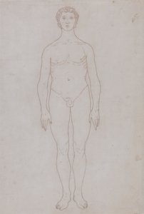 Studie der menschlichen Figur, Vorderansicht (Umrisszeichnung für Tafel VI) von George Stubbs