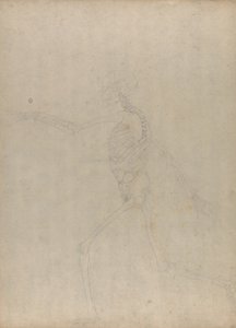 Studie der menschlichen Figur, Seitenansicht, aus Einem Vergleichenden Anatomischen Exposé der Struktur des menschlichen Körpers mit dem eines Tigers und eines gewöhnlichen Huhns, 1795-1806 von George Stubbs
