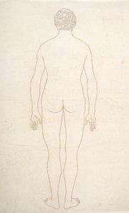 Studie der menschlichen Figur, Rückansicht, aus Ein vergleichendes anatomisches Exposé der Struktur des menschlichen Körpers mit dem eines Tigers und eines gewöhnlichen Huhns
