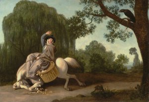 Die Frau des Bauern und der Rabe
