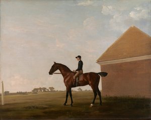 Turf, mit Jockey, in Newmarket