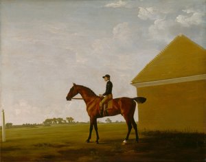 Turf, mit Jockey, in Newmarket