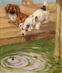 Ein Pekinese und ein Terrier
