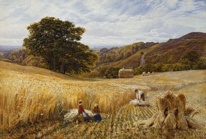 Erntezeit in der Nähe von Holmbury Hill, Surrey