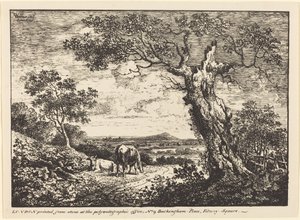 Landschaft mit zwei Kühen