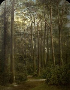 Die Wildnis, 1857