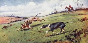 Hetzjagd von George Wright
