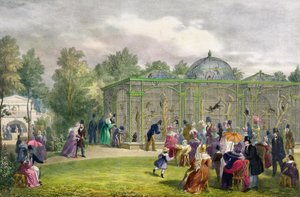Das Affenhaus im Zoologischen Garten, Regent
