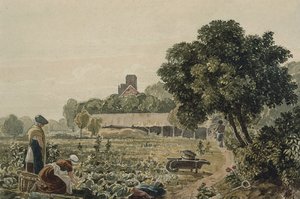 Marktgarten in Chelsea von George the Younger Barret